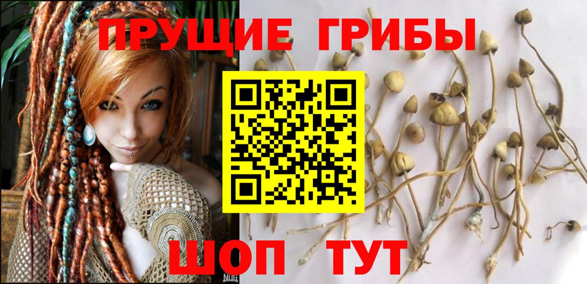 Галлюциногенные грибы Cubensis  Вход с VPN  Чебоксары 