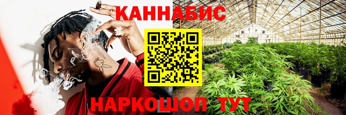 Конопля OG Kush Чебоксары